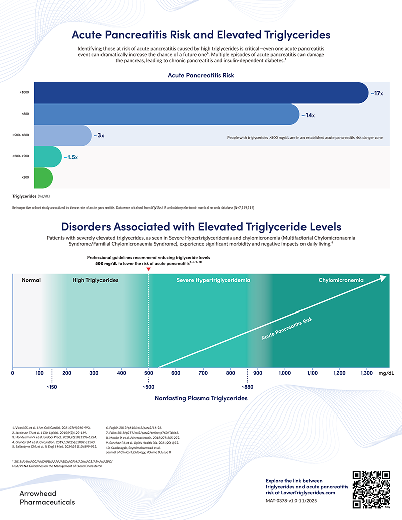 Page two of the guidelines