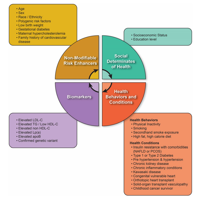 Risk factors for both T2D and CVD
