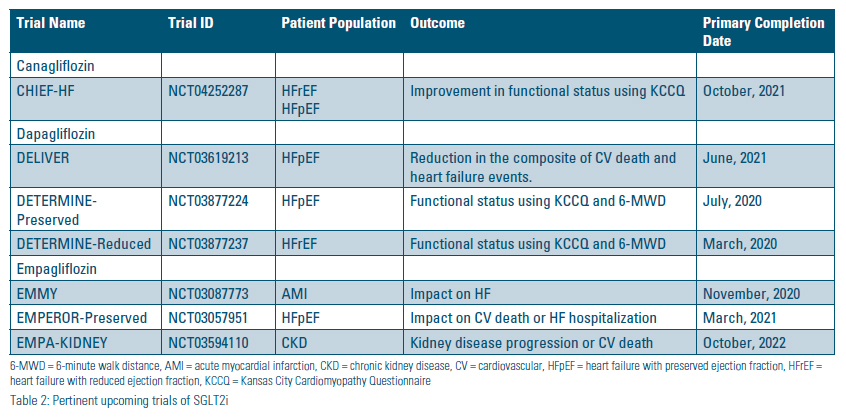 Table 2: Table summarizing selected clinical trials of SGLT2 inhibitors, with columns for trial name, trial ID, patient population, outcome, and primary completion date.
1) Canagliflozin – CHIEF‑HF (NCT04252287): Patients with heart failure with reduced or preserved ejection fraction (HFrEF, HFpEF); outcome is improvement in functional status measured by the Kansas City Cardiomyopathy Questionnaire (KCCQ); primary completion October 2021.
2) Dapagliflozin – DELIVER (NCT03619213): Patients with HFpEF; outcome is reduction in a composite of cardiovascular death and heart failure events; primary completion June 2021.
3) Dapagliflozin – DETERMINE‑Preserved (NCT03877224): Patients with HFpEF; outcome is functional status assessed by KCCQ and 6‑minute walk distance (6‑MWD); primary completion July 2020.
4) Dapagliflozin – DETERMINE‑Reduced (NCT03877237): Patients with HFrEF; outcome is functional status assessed by KCCQ and 6‑MWD; primary completion March 2020.
5) Empagliflozin – EMMY (NCT03087773): Patients with acute myocardial infarction (AMI); outcome is impact on heart failure; primary completion November 2020.
6) Empagliflozin – EMPEROR‑Preserved (NCT03057951): Patients with HFpEF; outcome is impact on cardiovascular death or heart failure hospitalization; primary completion March 2021.
Empagliflozin – EMPA‑KIDNEY (NCT03594110): Patients with chronic kidney disease (CKD); outcome is kidney disease progression or cardiovascular death; primary completion October 2022.
Footnote defines abbreviations including 6‑MWD (6‑minute walk distance), AMI (acute myocardial infarction), CKD (chronic kidney disease), CV (cardiovascular), HFpEF (heart failure with preserved ejection fraction), HFrEF (heart failure with reduced ejection fraction), and KCCQ (Kansas City Cardiomyopathy Questionnaire).