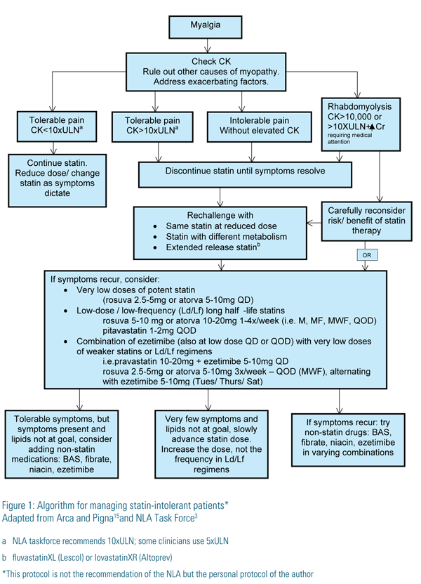 Figure 1: Algorithm for managing statin-intolerant patients. A flowchart for evaluating and managing statin-related muscle symptoms (myalgia). It begins with “Myalgia,” followed by instructions to check creatine kinase (CK), rule out other causes of myopathy, and address contributing factors. Branches show: tolerable pain with CK <10× ULN (continue statin, reduce dose or switch), tolerable pain with CK ≥10× ULN or intolerable pain without CK elevation (temporarily discontinue statin, then rechallenge with lower dose or different statin), and rhabdomyolysis with CK >10,000 or >10× ULN plus creatinine increase (stop statin and reconsider risks/benefits). Subsequent steps include rechallenge options (same statin lower dose, different metabolism, extended-release), strategies for recurrence (very low doses, intermittent dosing, combinations with ezetimibe), and use of non‑statin therapies (bile acid sequestrants, fibrates, niacin, ezetimibe) if needed.