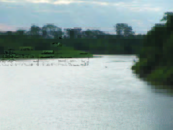 Figure 1. Tsimane man crossing the Maniqui River in a dugout canoe.